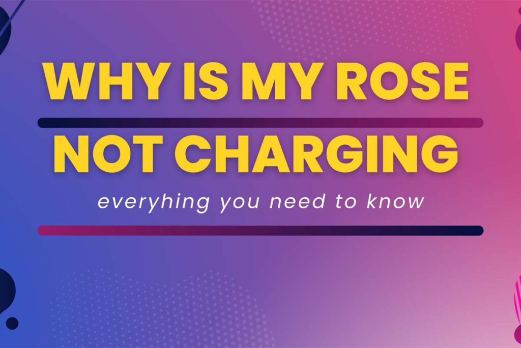 Why is My Rose Toy Not Charging? Everything You Should Know - Rose ...